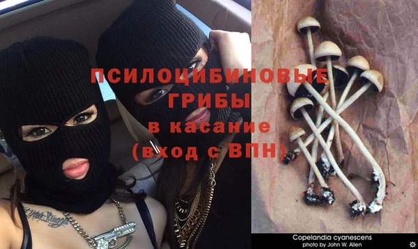 скорость Абаза