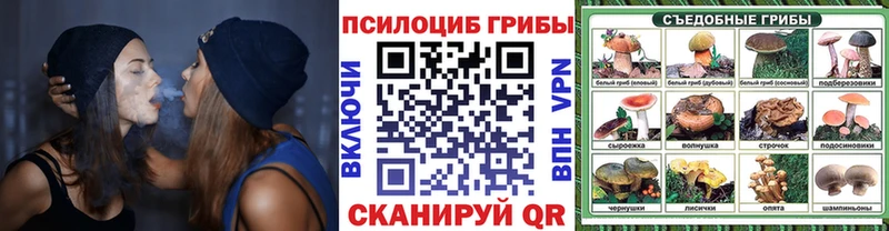 Псилоцибиновые грибы прущие грибы  купить закладку  Ряжск 